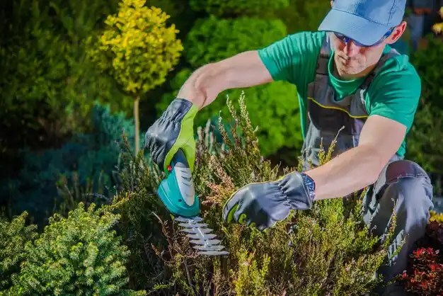 landscaping services Berkeley